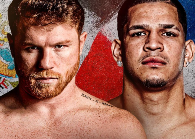 Canelo Alvarez vs. Edgar Berlanga Fight: Analyzing the Potential Results